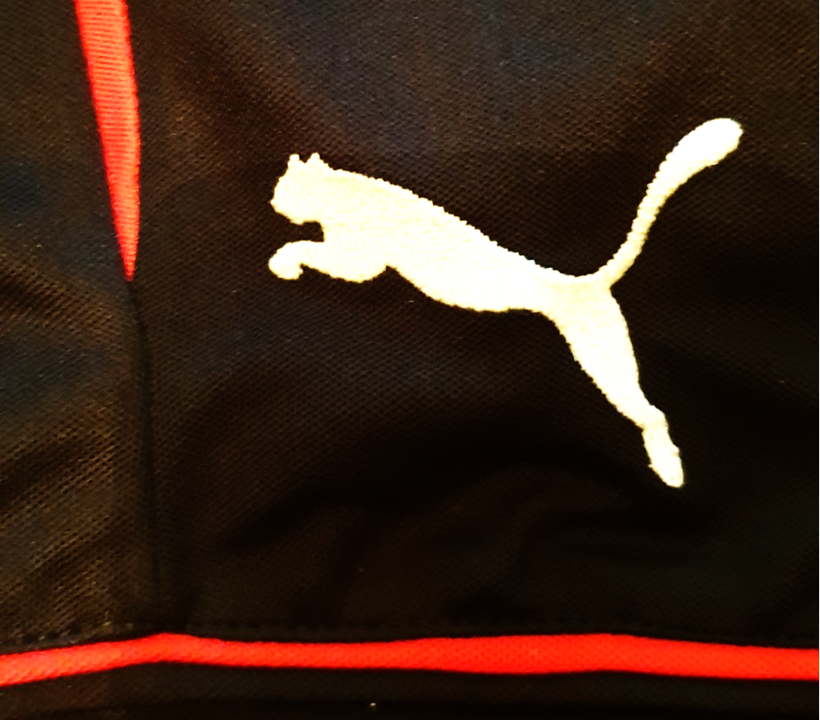 Rangers 2013/14 Puma Third Football Shirt