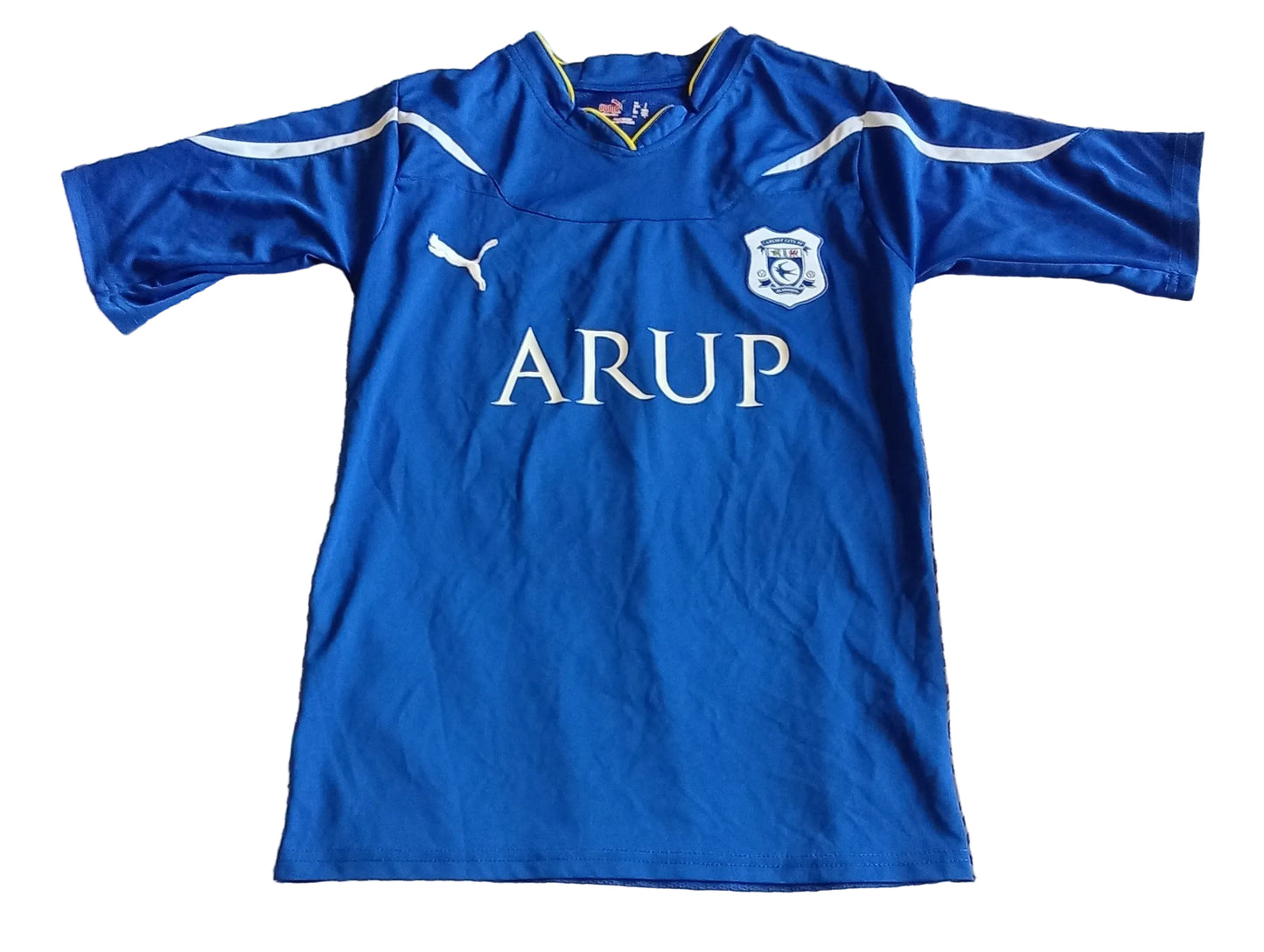 Cardiff City 2010/11 Puma Home Football Shirt