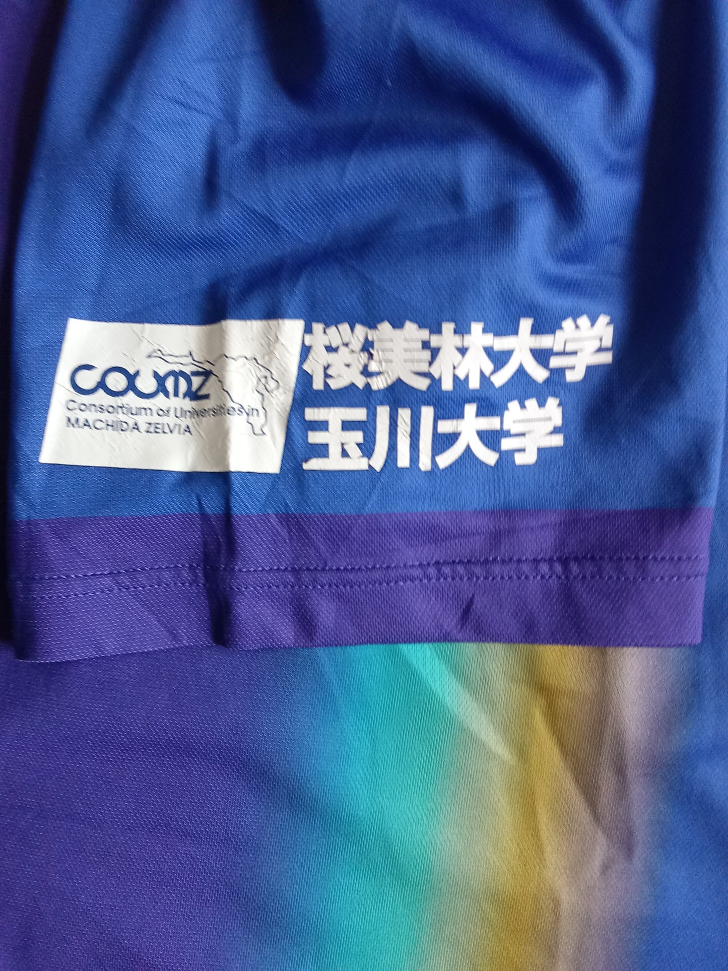 Machida Zelvia 2014 Svolme Home Football Shirt