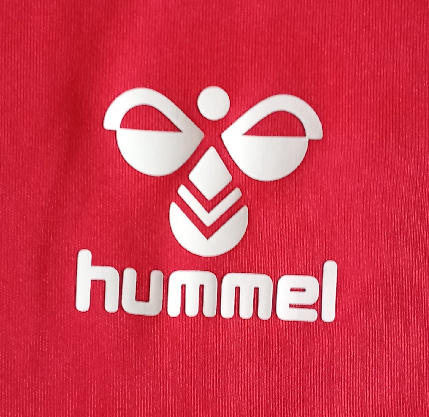 Charlton Athletic 2020/21 Hummel Home Football Shirt