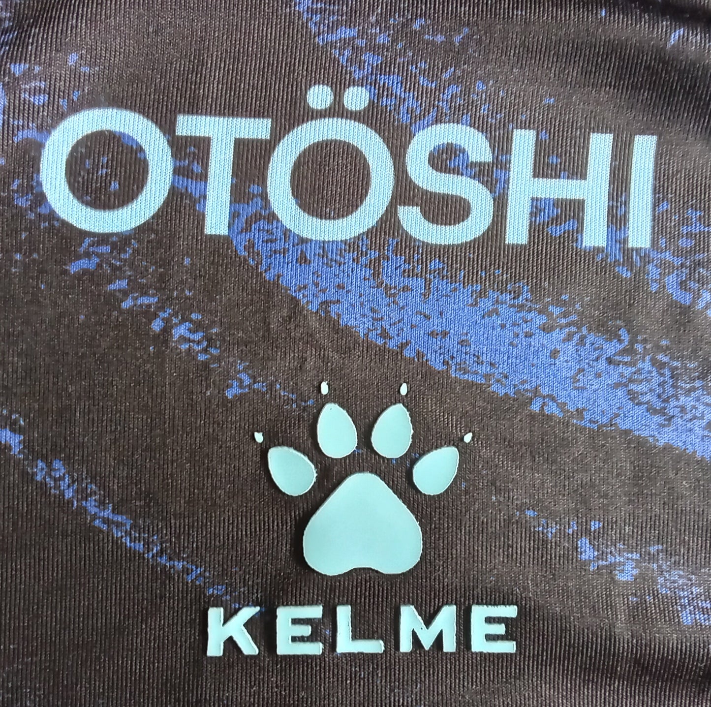 Feirense 2024/25 Kelme Third Football Shirt