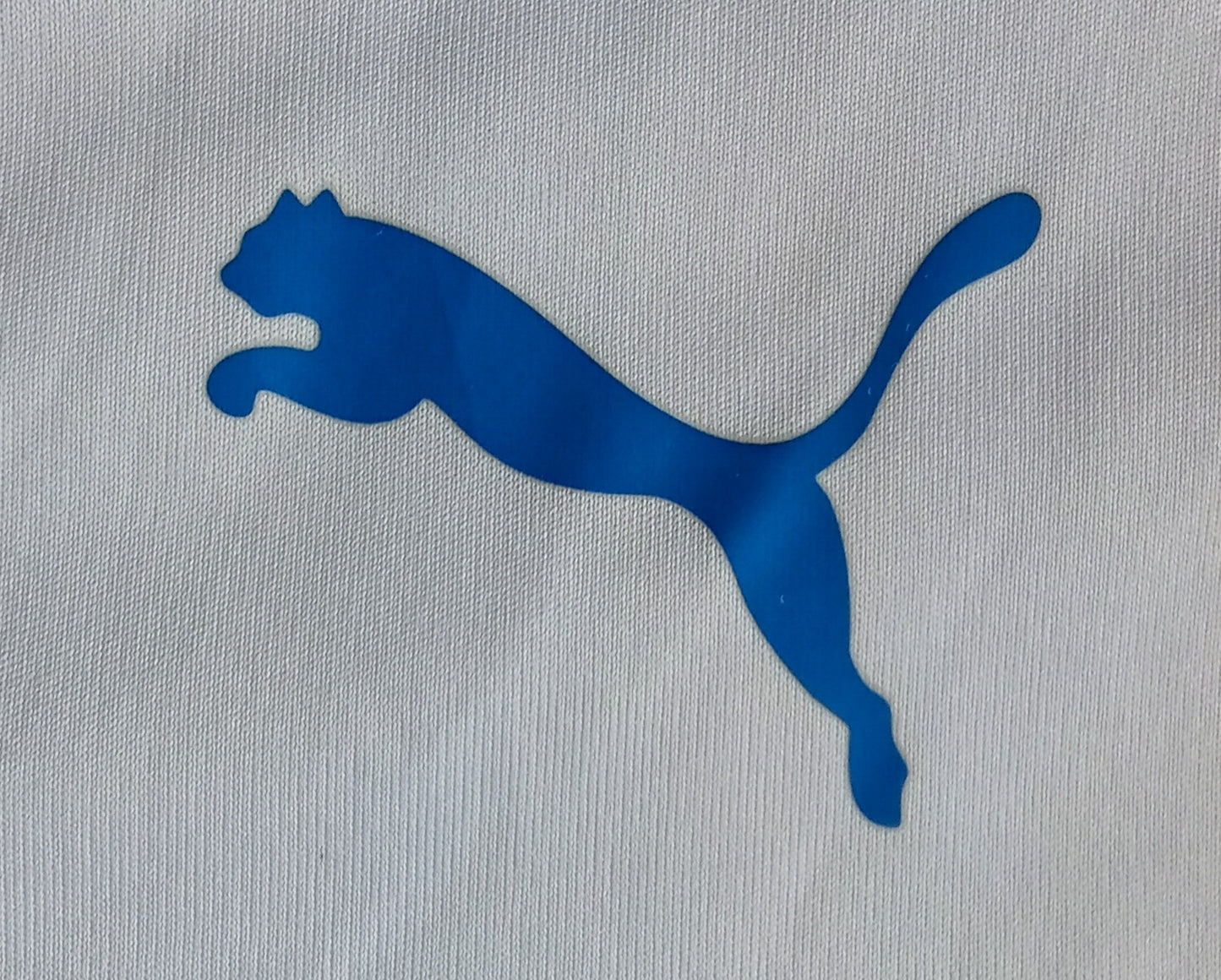 Reading 2017/18 Puma Home Football Shirt