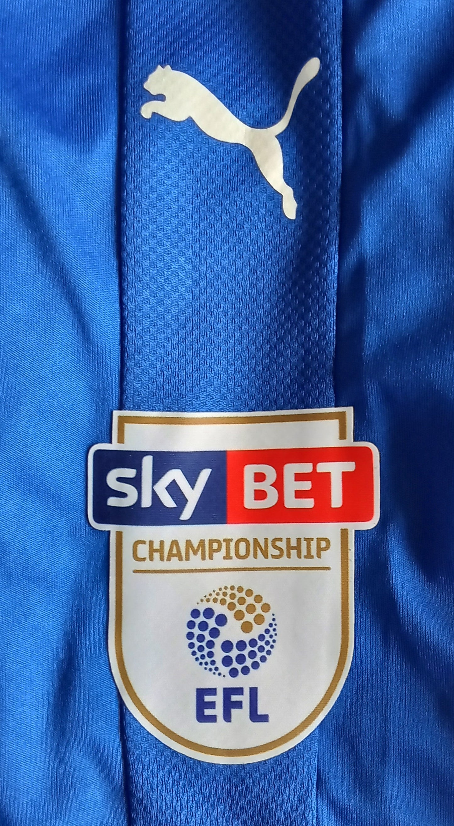 Reading 2017/18 Puma Home Football Shirt