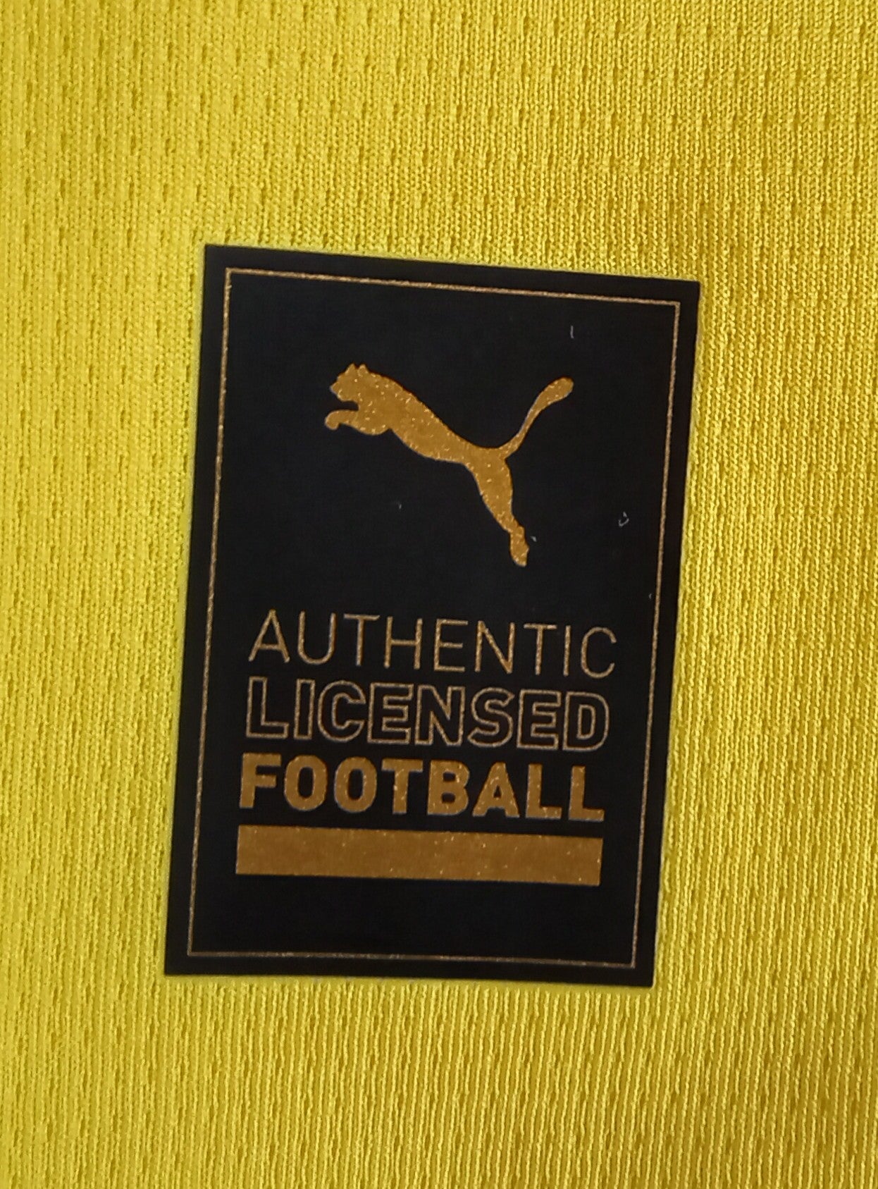 Dortmund 2024/25 Puma Home Football Shirt