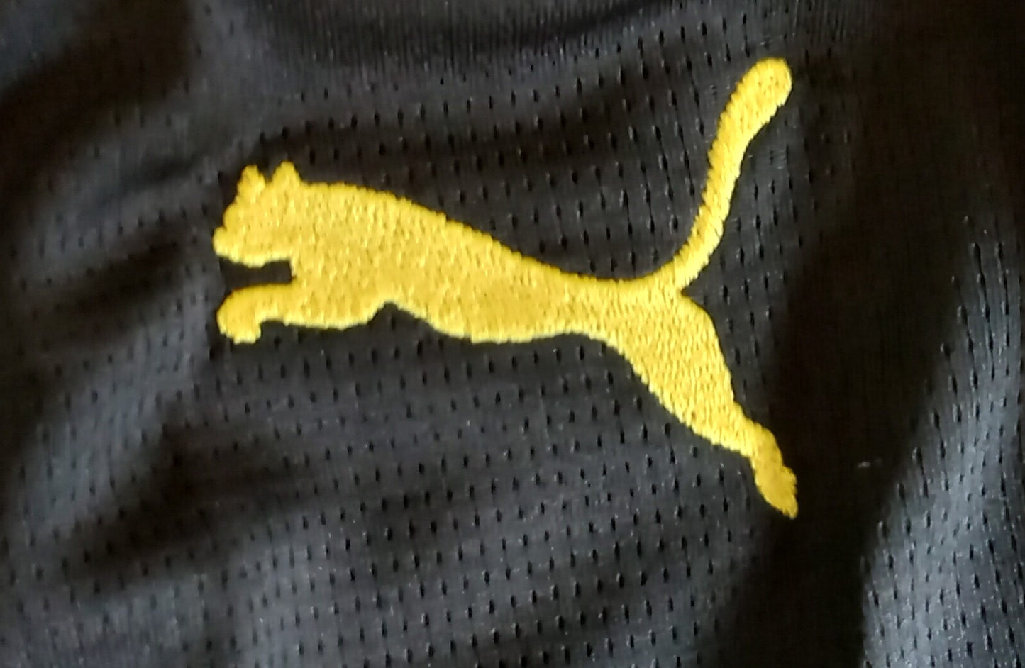 Dortmund 2024/25 Puma Home Football Shirt