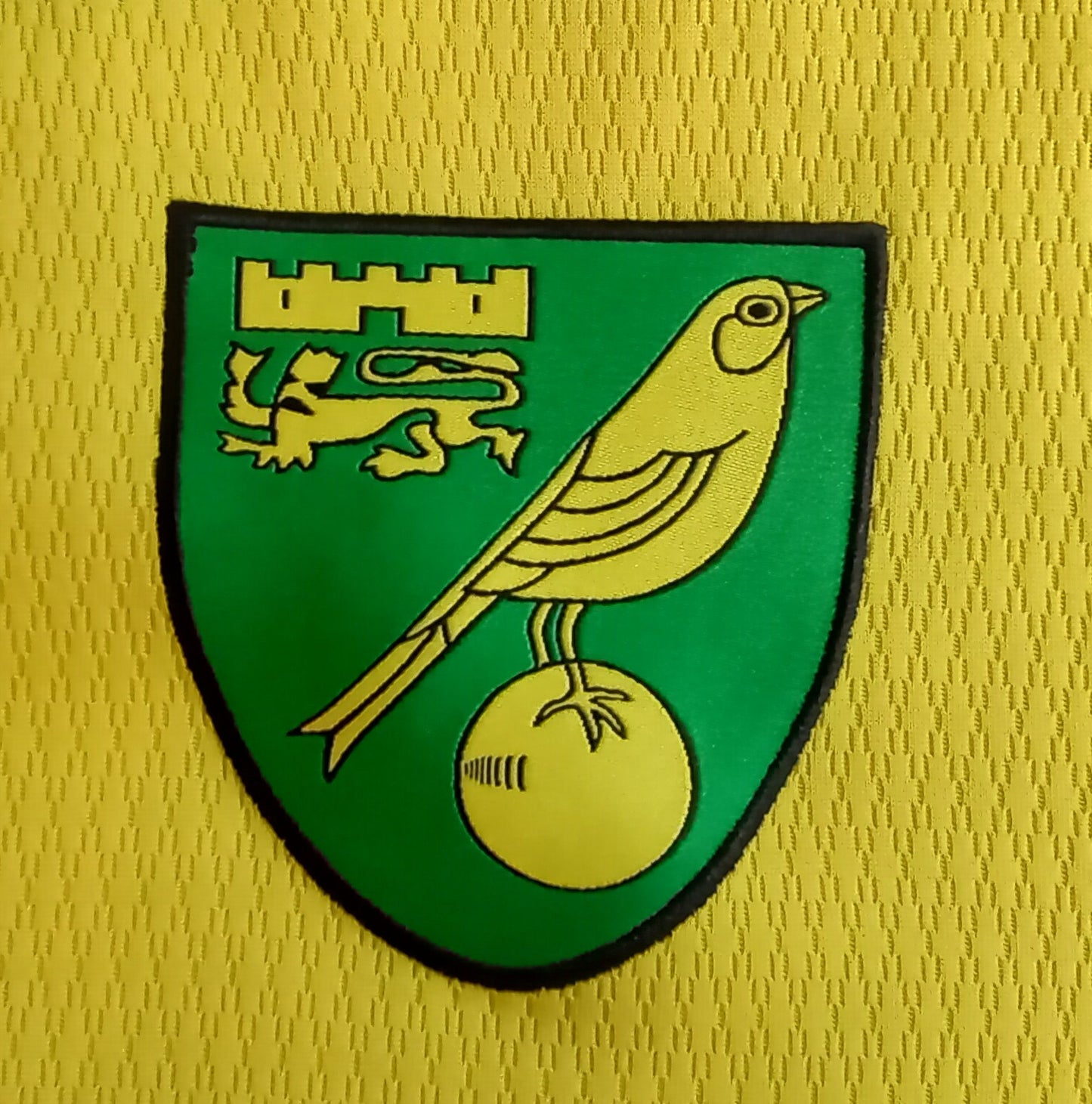 Norwich City 2021/22 Joma Home Football Shirt
