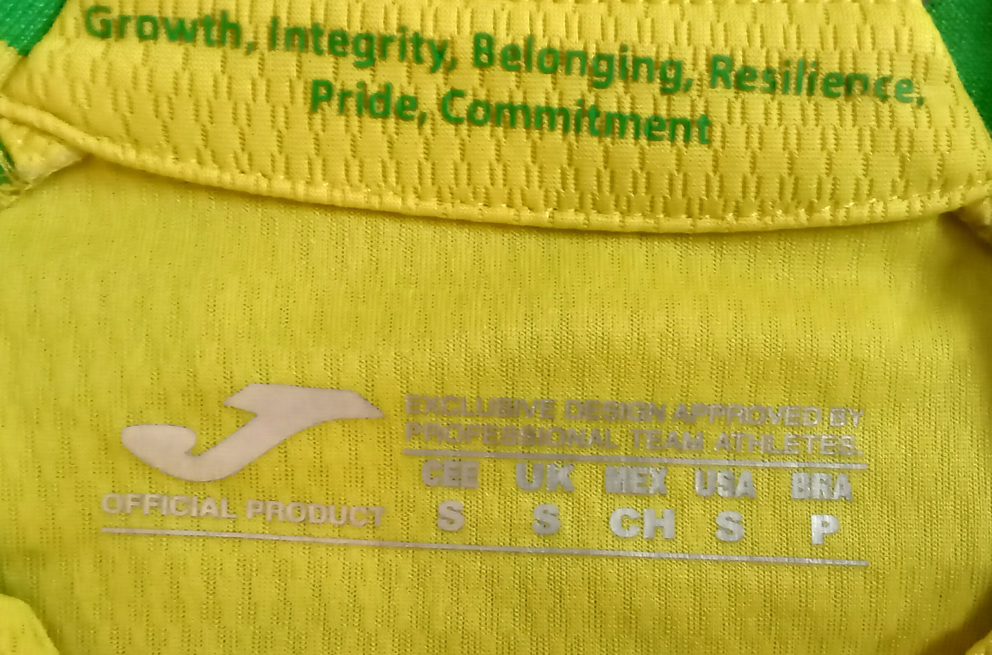 Norwich City 2021/22 Joma Home Football Shirt