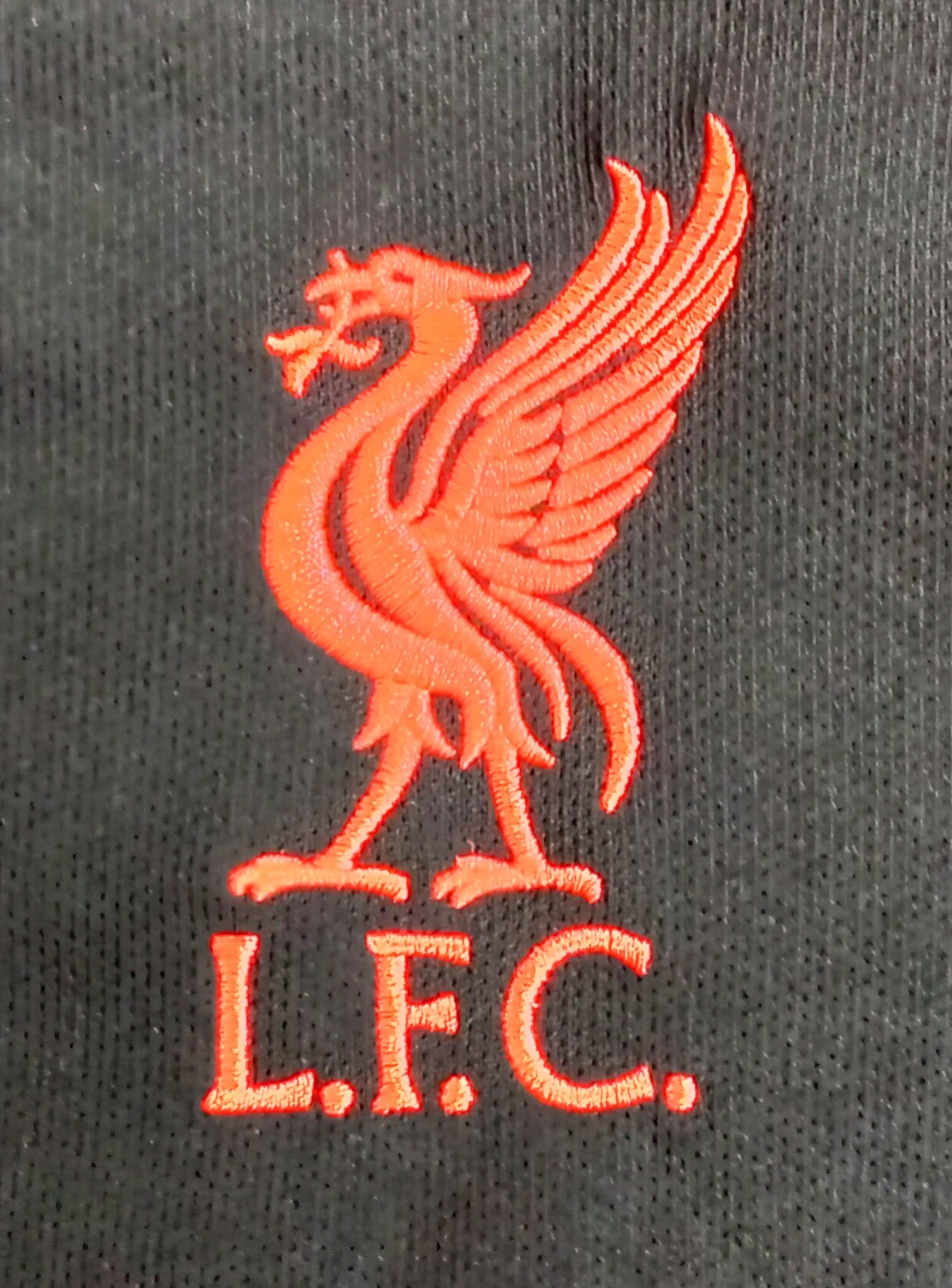 Liverpool 2021/22 Nike Limited Edition Football Training Shirt