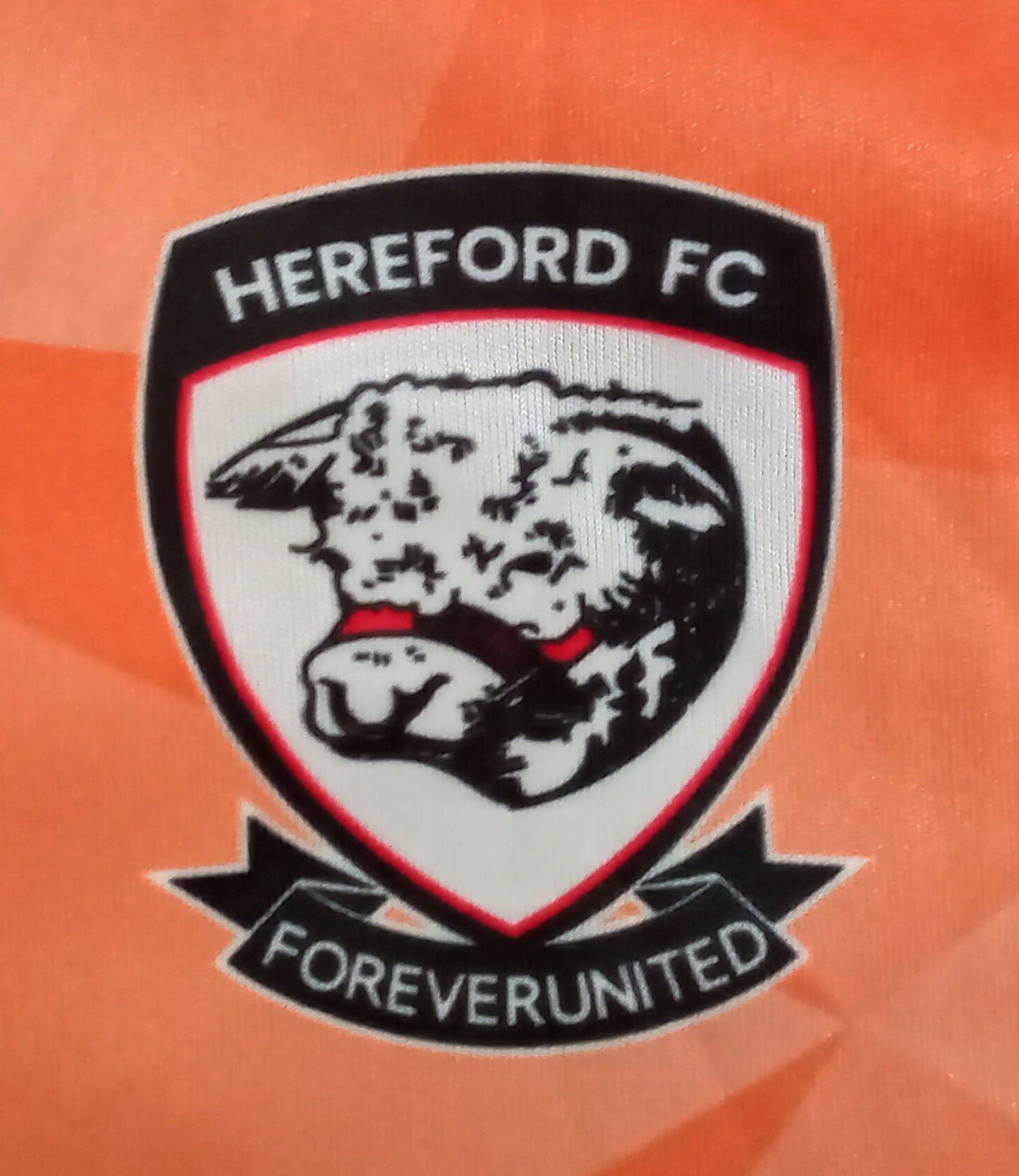 Hereford FC 2025/26 M and M Away Goalkeeper Football Shirt