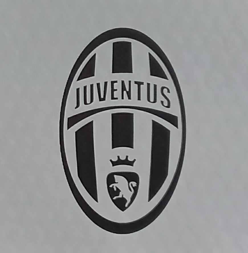 Juventus 2013/14 Nike Third Football Shirt