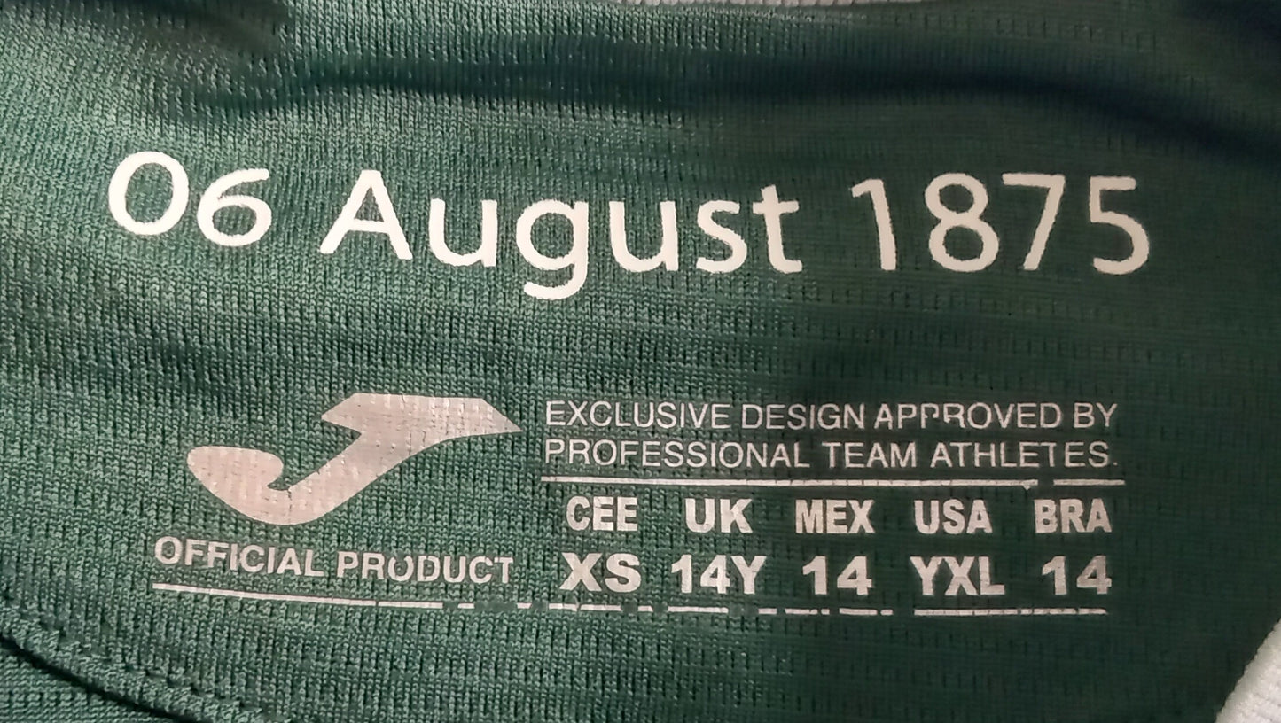 Hibs 2025/26 Joma Home Football Shirt