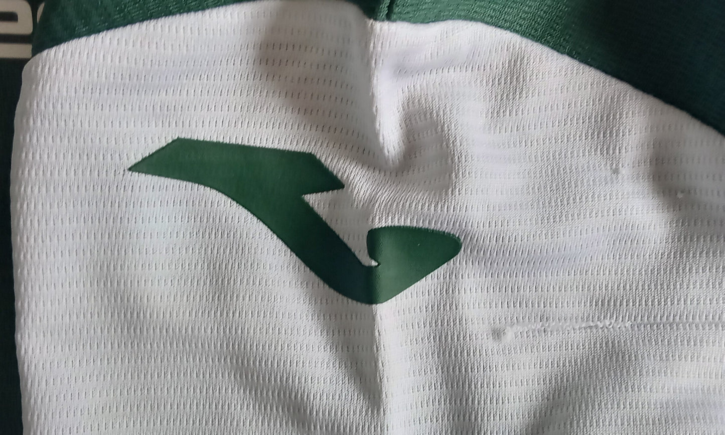 Hibs 2025/26 Joma Home Football Shirt