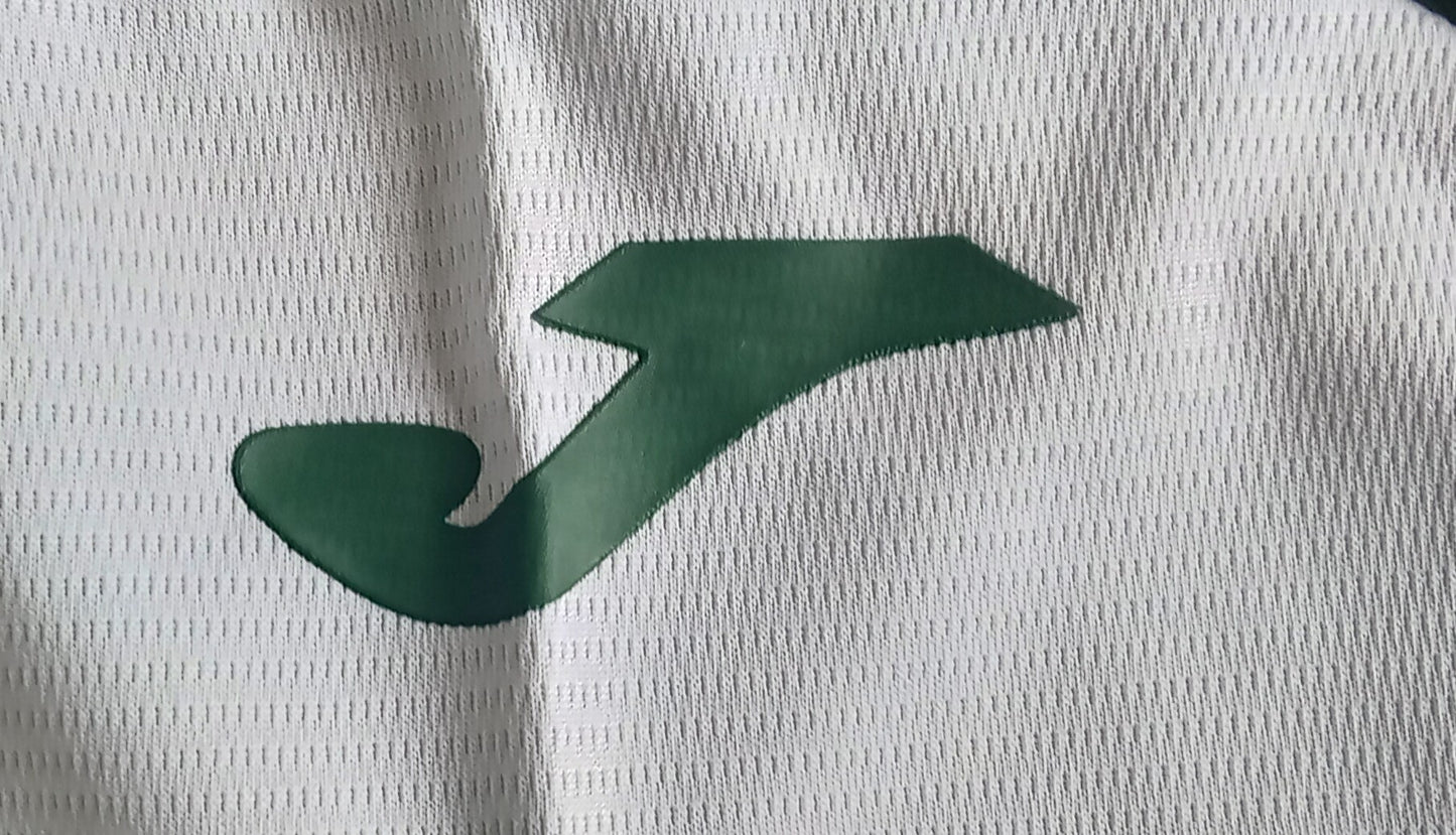 Hibs 2025/26 Joma Home Football Shirt