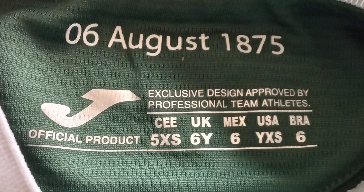 Hibs 2025/26 Joma Home Football Shirt