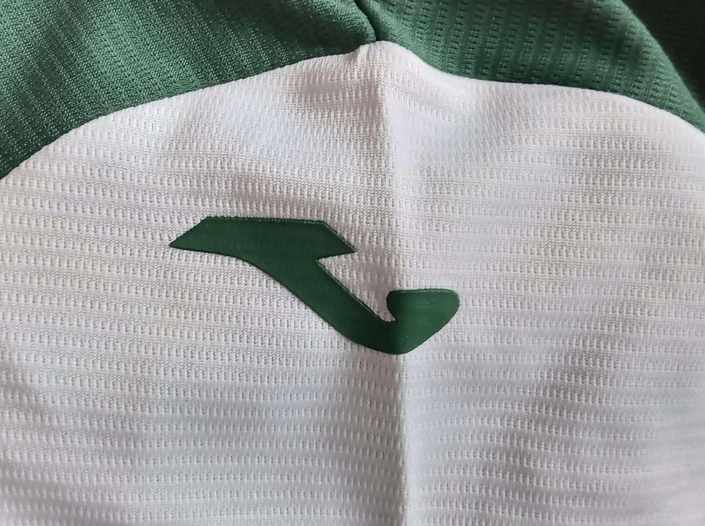 Hibs 2025/26 Joma Home Football Shirt