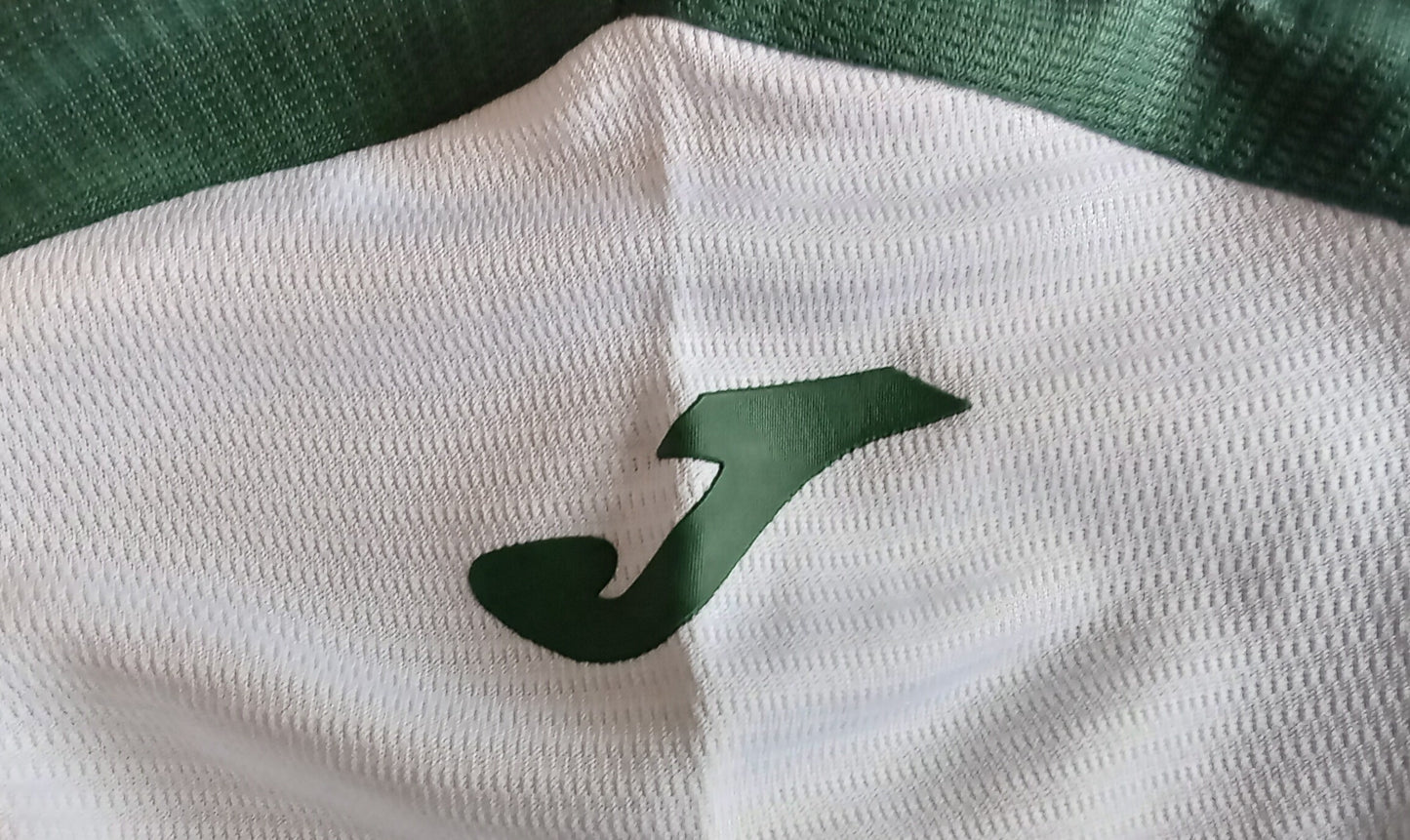 Hibs 2025/26 Joma Home Football Shirt