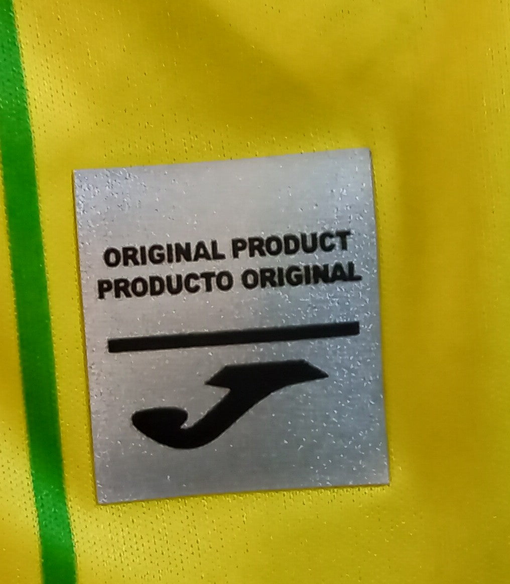 Norwich City 2022/23 Joma Home Football Shirt (Long Sleeve)