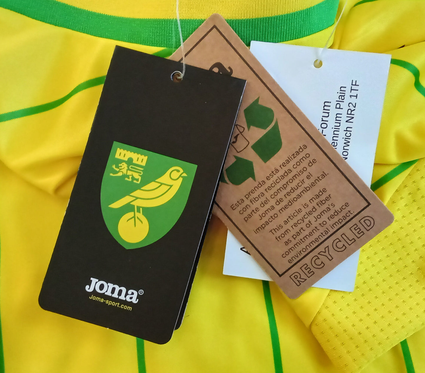 Norwich City 2022/23 Joma Home Football Shirt (Long Sleeve)