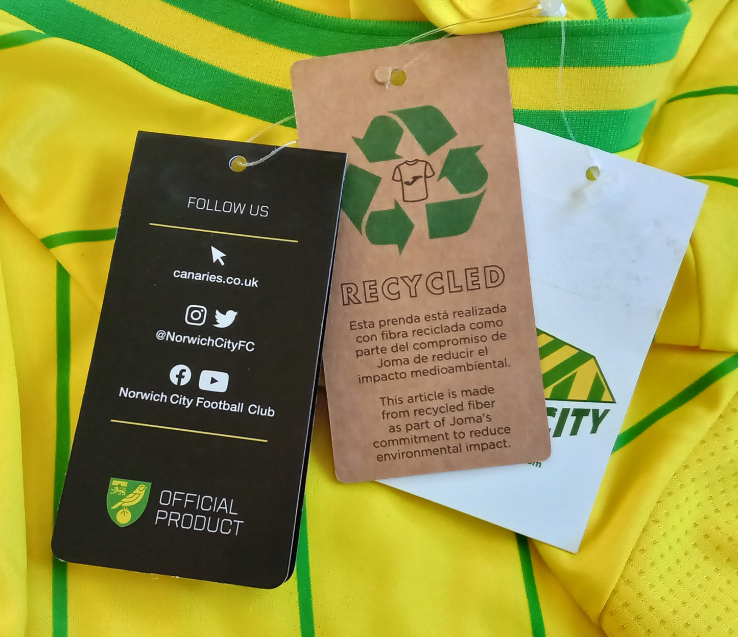 Norwich City 2022/23 Joma Home Football Shirt (Long Sleeve)