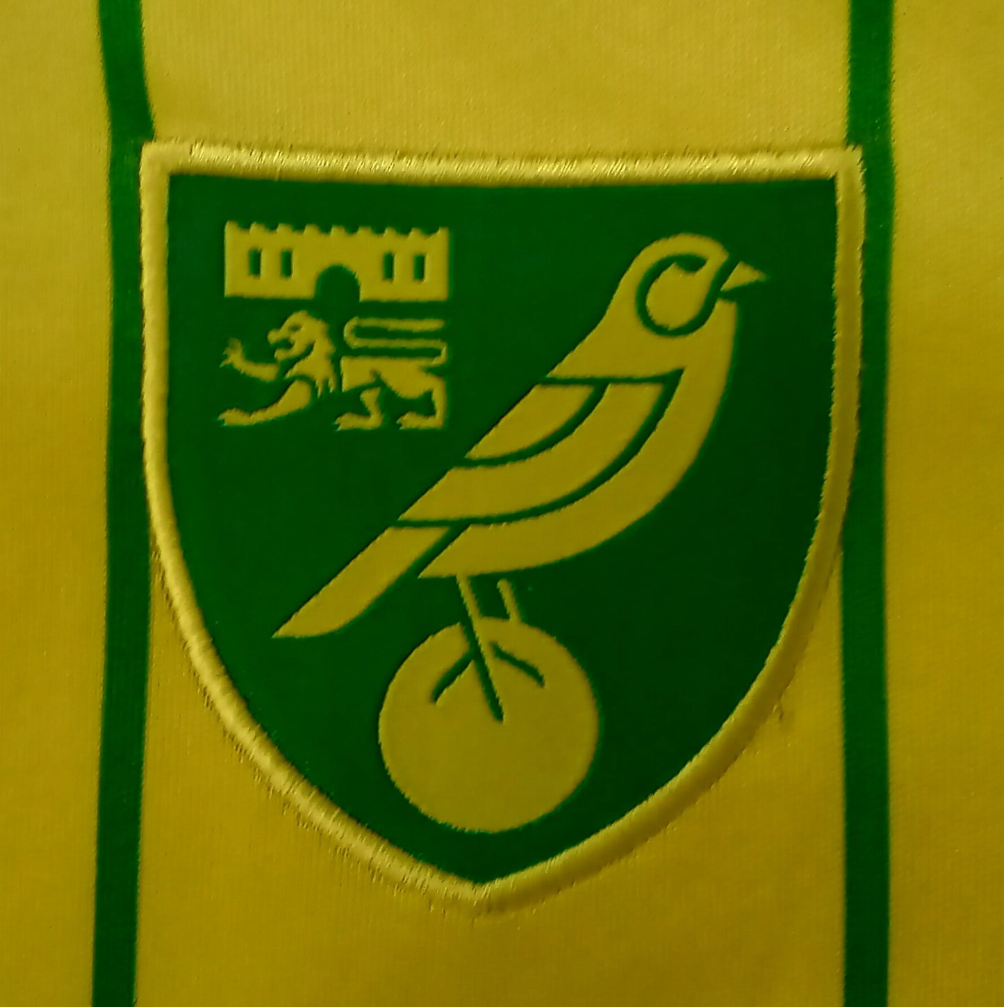 Norwich City 2022/23 Joma Home Football Shirt