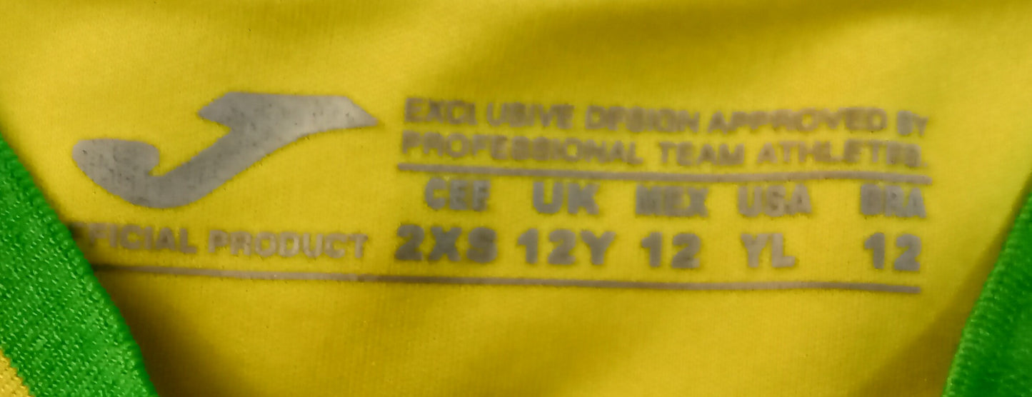 Norwich City 2022/23 Joma Home Football Shirt