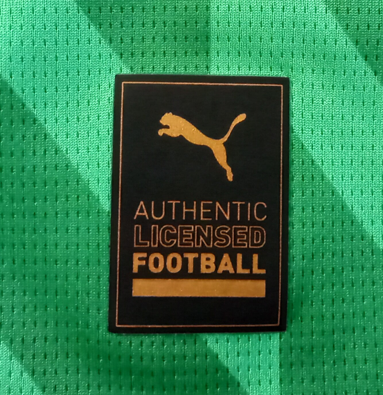 Port Vale 2023/24 Puma Home Goalkeeper Football Shirt