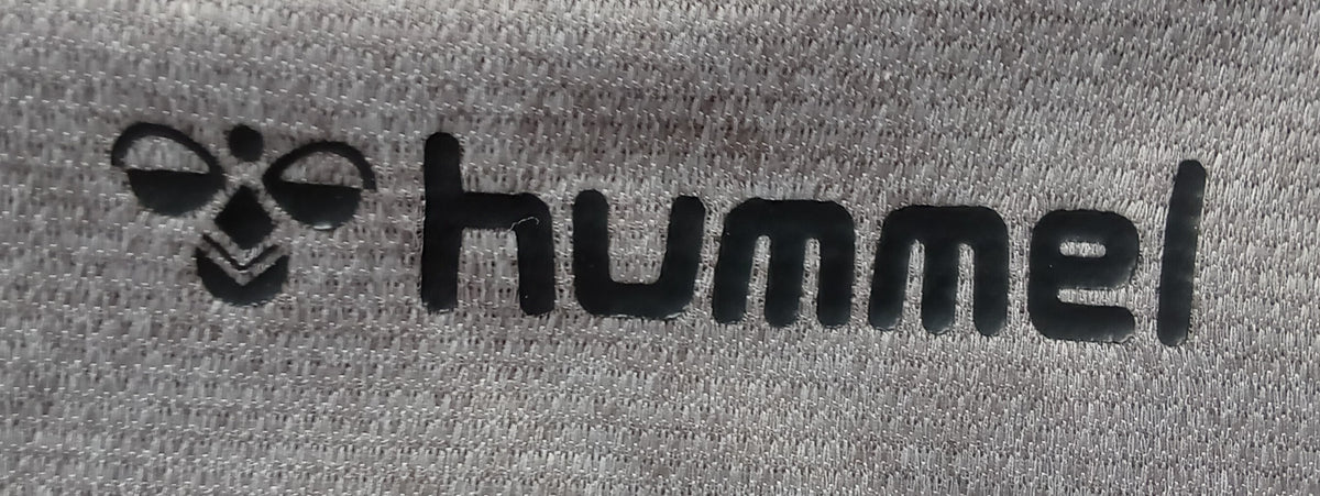 Charlton Athletic 2020/21 Hummel Football Training Polo Shirt