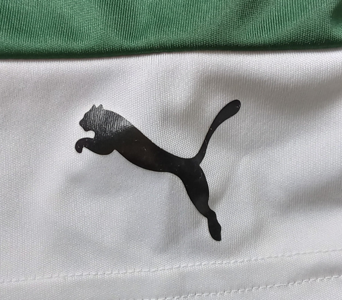 Plymouth Argyle 2019/20 Puma Home Football Shirt