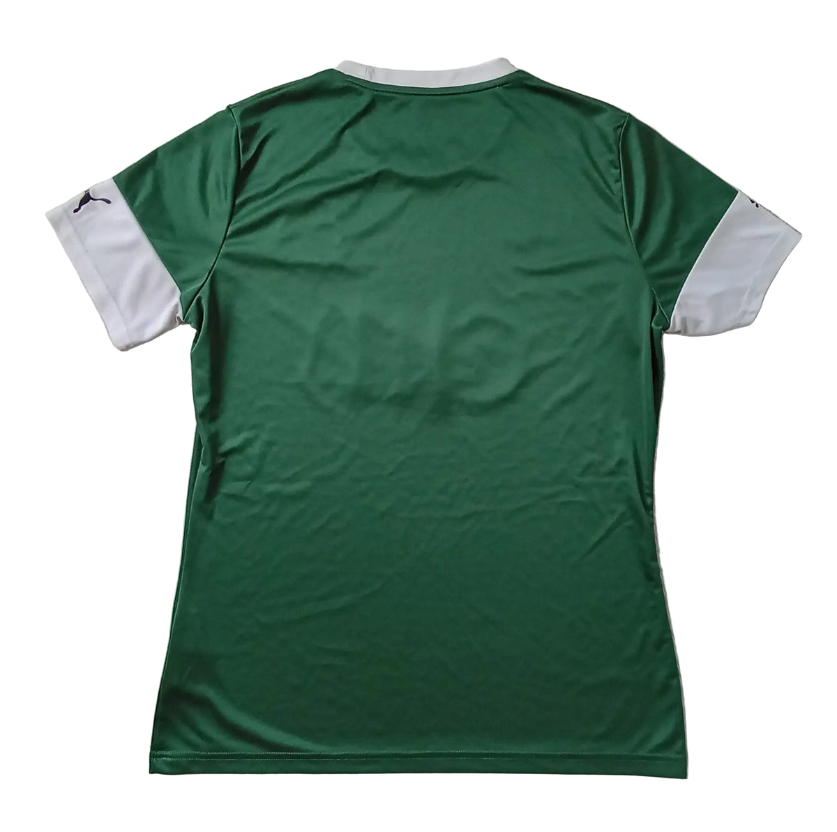 Plymouth Argyle 2019/20 Puma Home Football Shirt