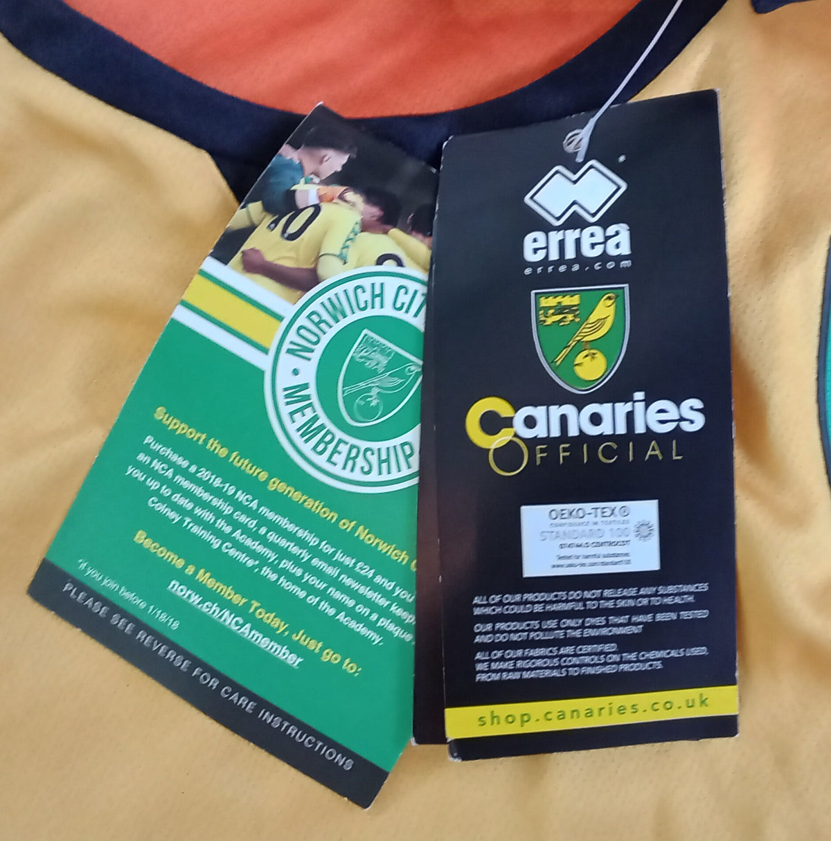 Norwich City 2018/19 Errea Goalkeeper Football Shirt