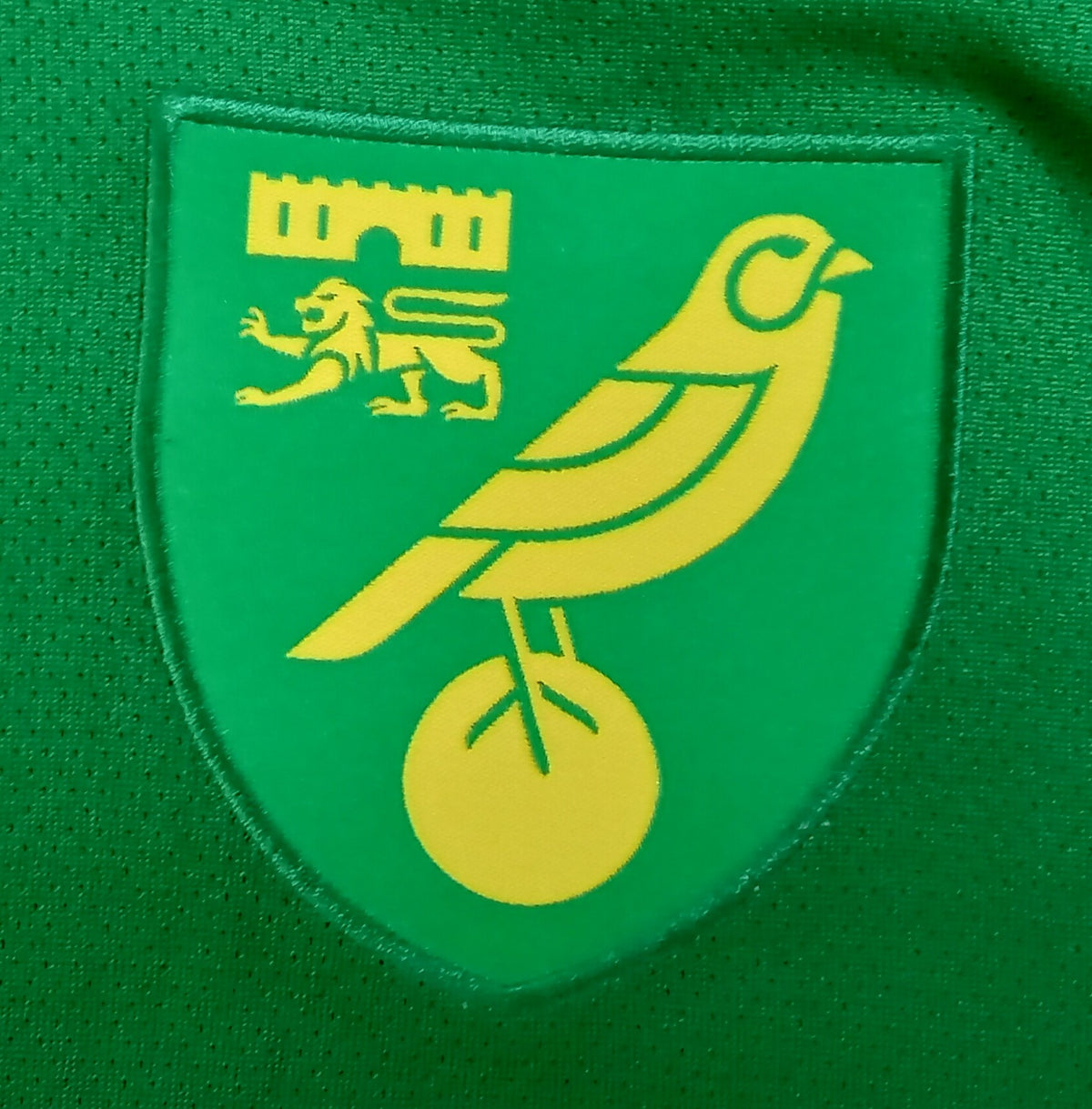 Norwich City 2023/24 Joma Away Football Shirt