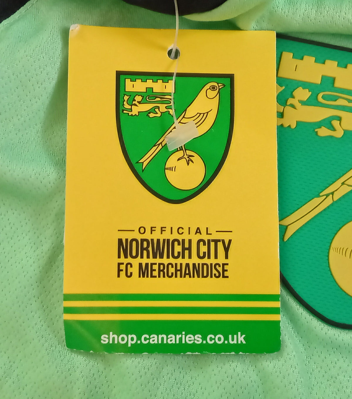 Norwich City 2018/19 Errea Goalkeeper Football Shirt