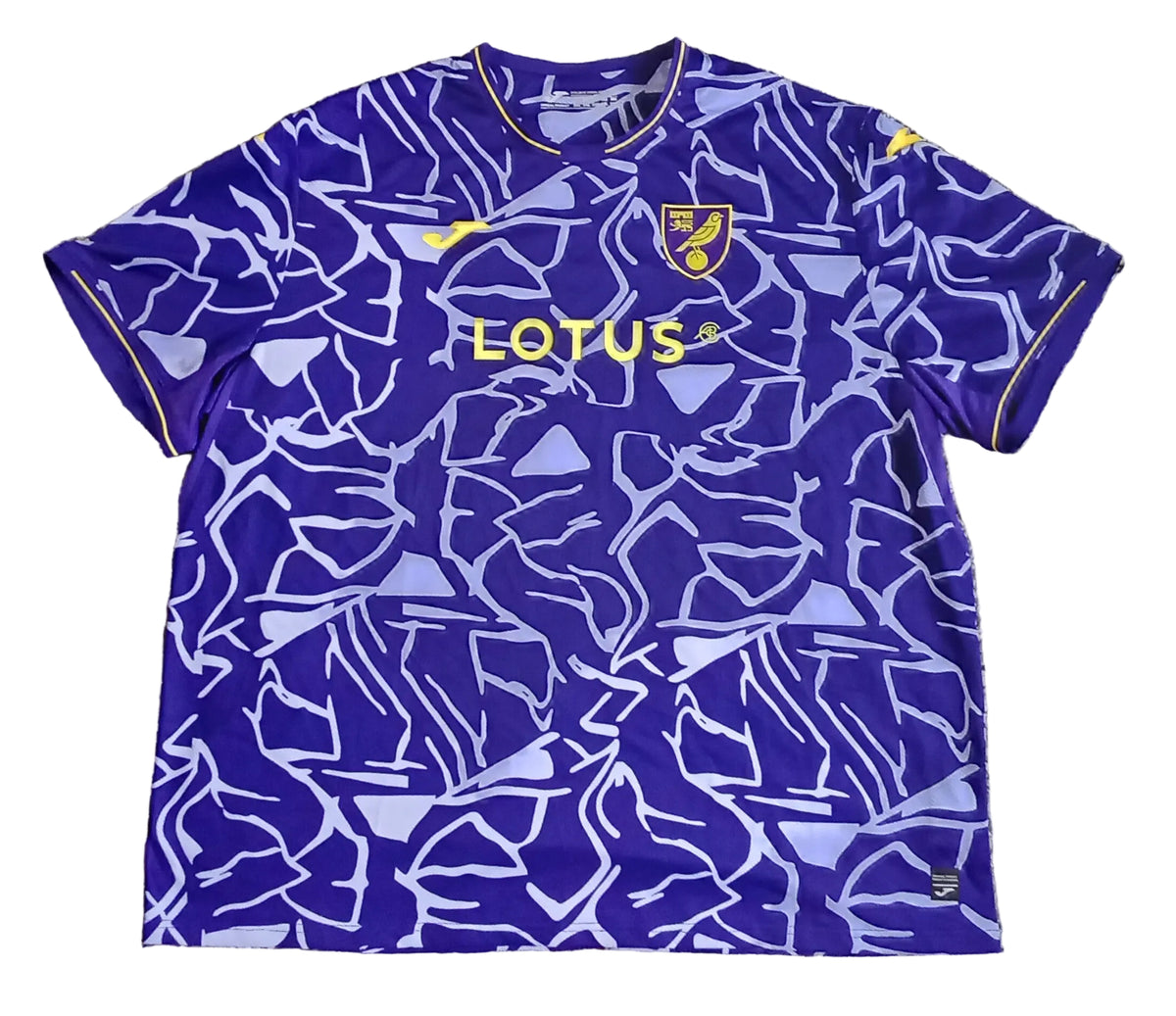 Norwich City 2023/24 Joma Third Football Shirt