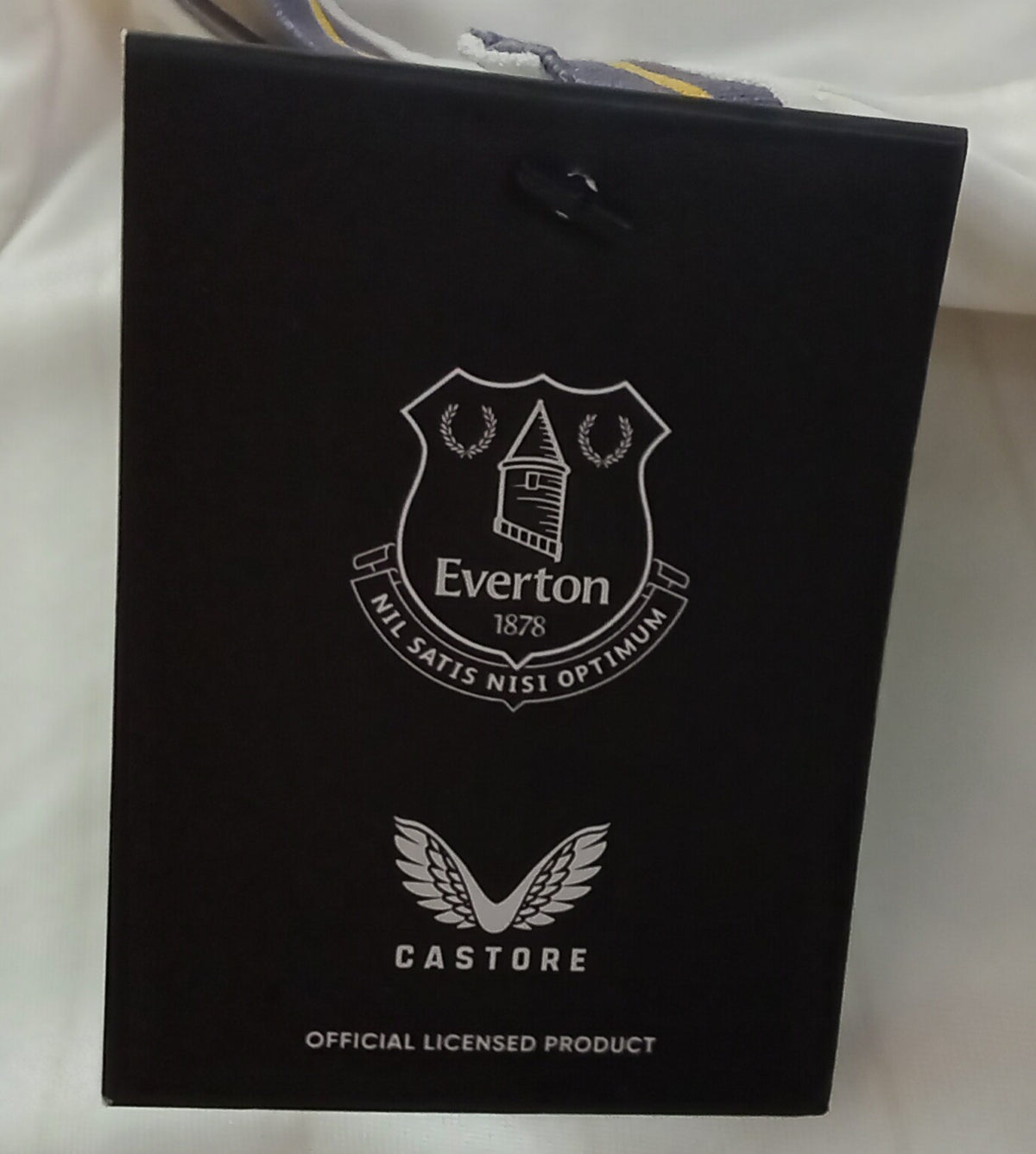 Everton 2024/25 Castore Third Football Shirt