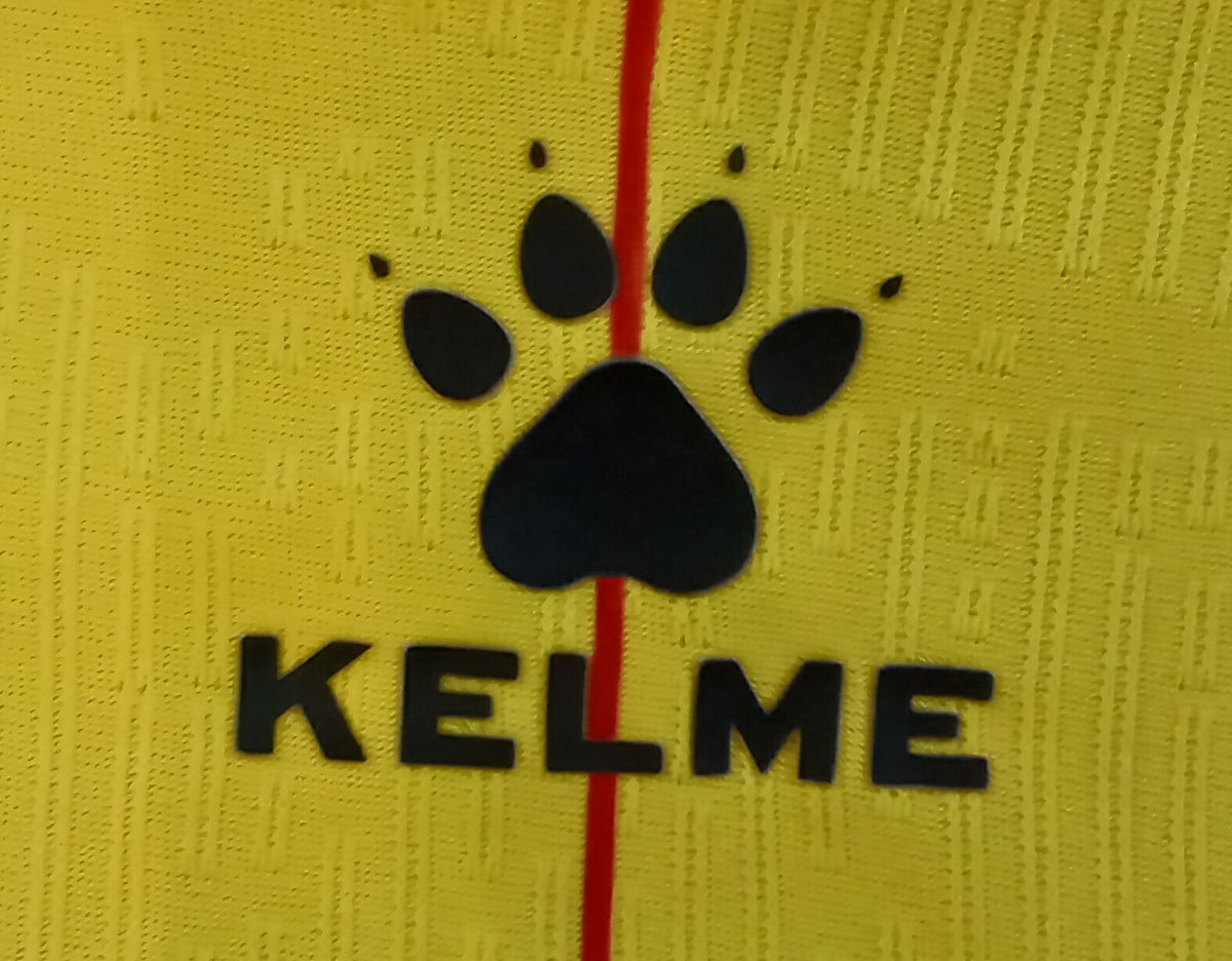 Watford 2024/25 Kelme Home Football Shirt (Kids)