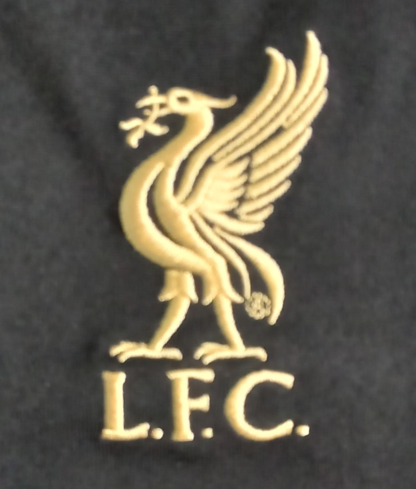 Liverpool 2019/20 New Balance Home Goalkeeper Football Shirt