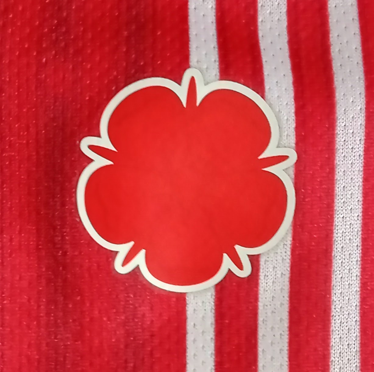 Southampton 2023/24 Hummel Home Football Shirt