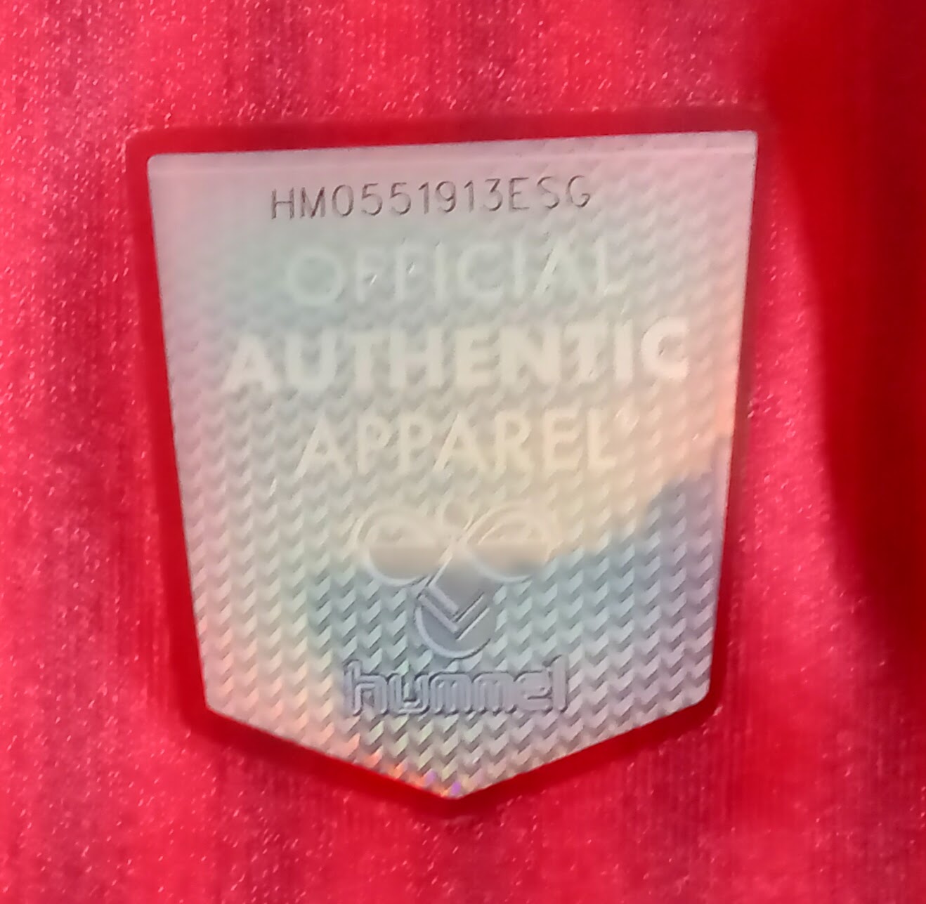 Southampton 2023/24 Hummel Home Football Shirt