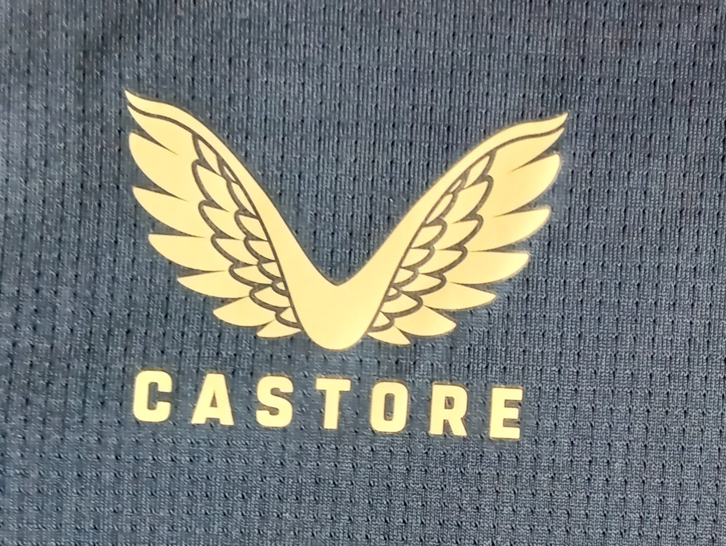 Rangers 2023/24 Castore Football Training Shirt