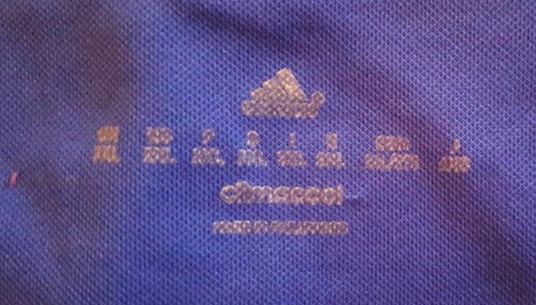Cardiff City 2015/16 Adidas Home Football Shirt
