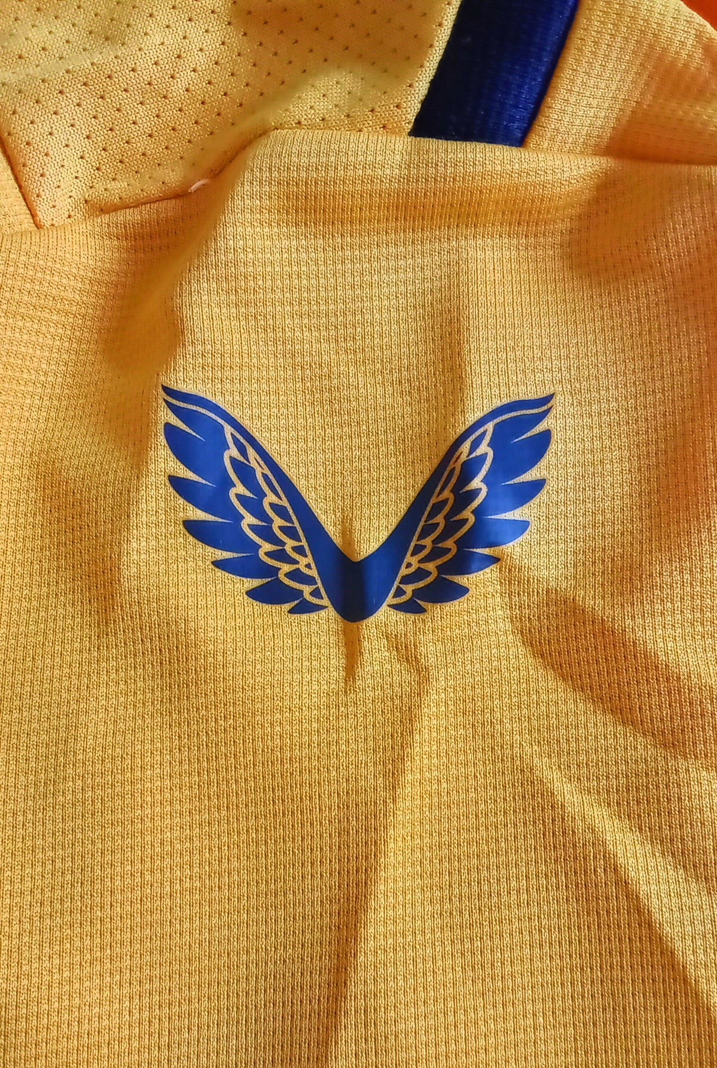Wolverhampton Wanderers 2022/23 Castore Home Football Shirt