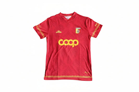 Catanzaro 2024/25 Eye Sports Home Football Shirt
